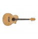 IBANEZ EW20ASE NT elektro-akustična kitara